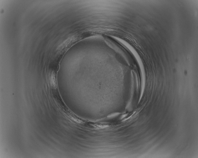 X0000068900143200605051432
