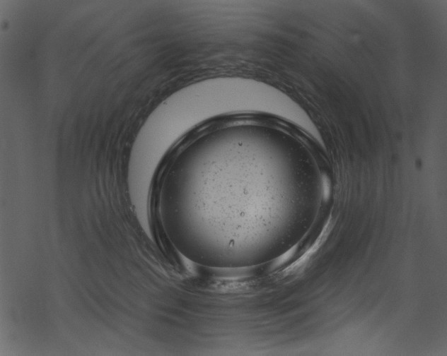 X0000068900186200605051432