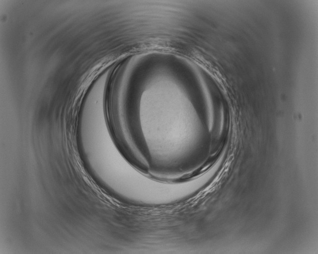 X0000068900193200605051431