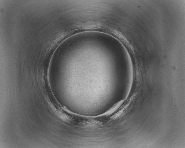 X0000068900201200605051431