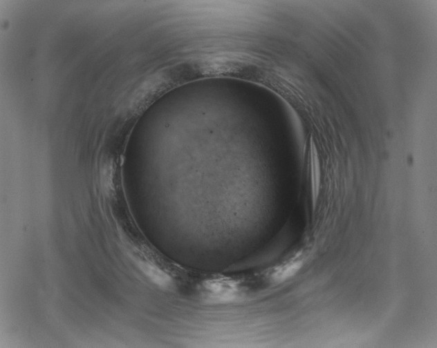 X0000068900219200605051431