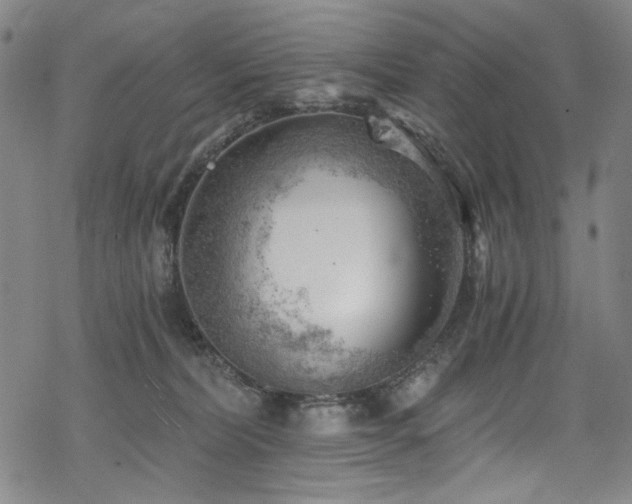 X0000068900228200605051431
