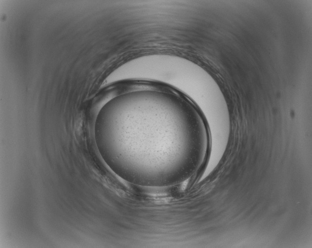 X0000068900233200605051431