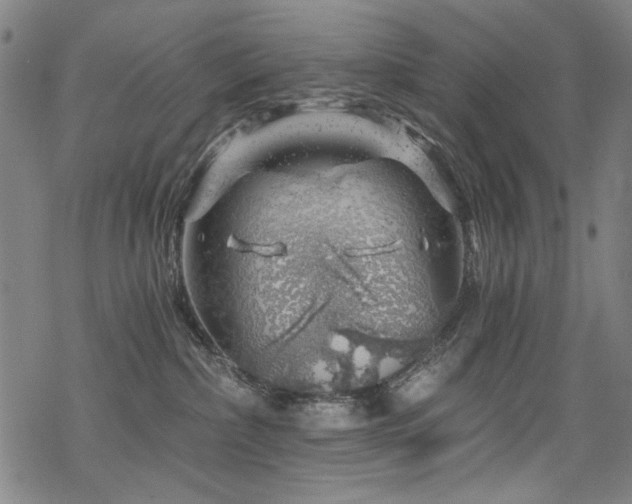 X0000068900236200605051431