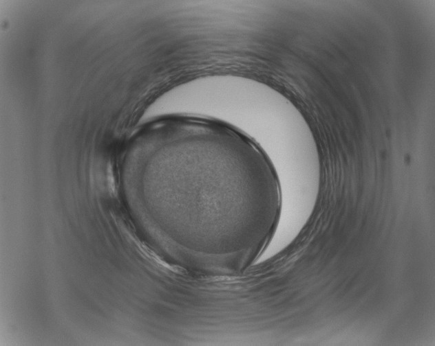 X0000068900237200605051431