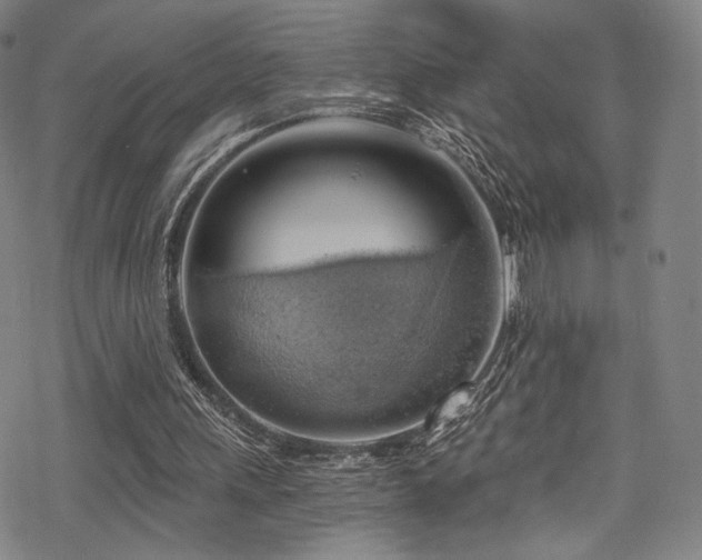 X0000068900243200605051430