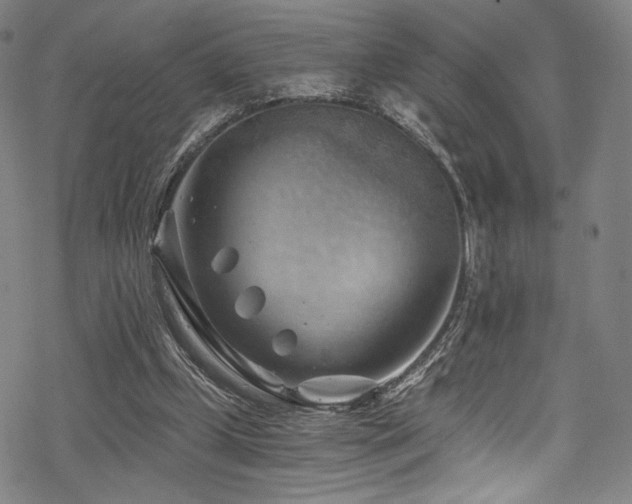 X0000068900249200605051430