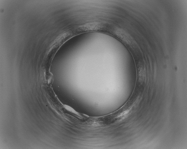 X0000068900254200605051430