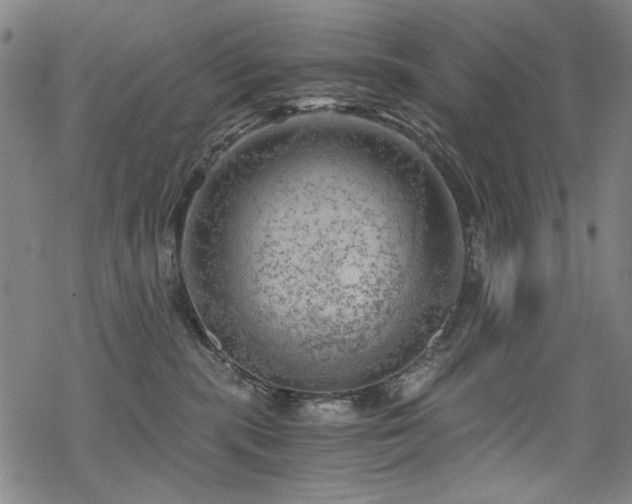 X0000068900283200605051430