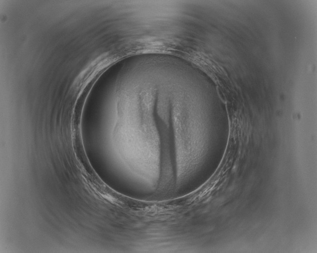 X0000068900290200605051430