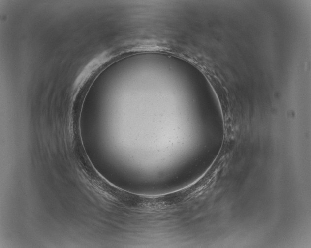 X0000068900296200605051430