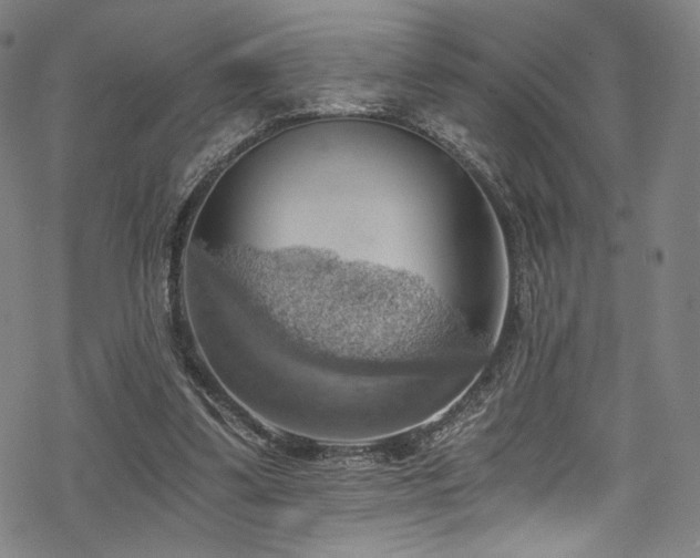 X0000068900299200605051430