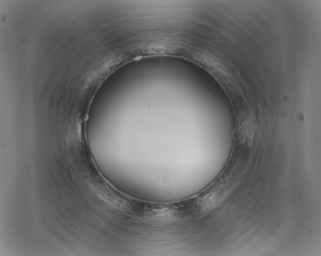 X0000068900310200605051429