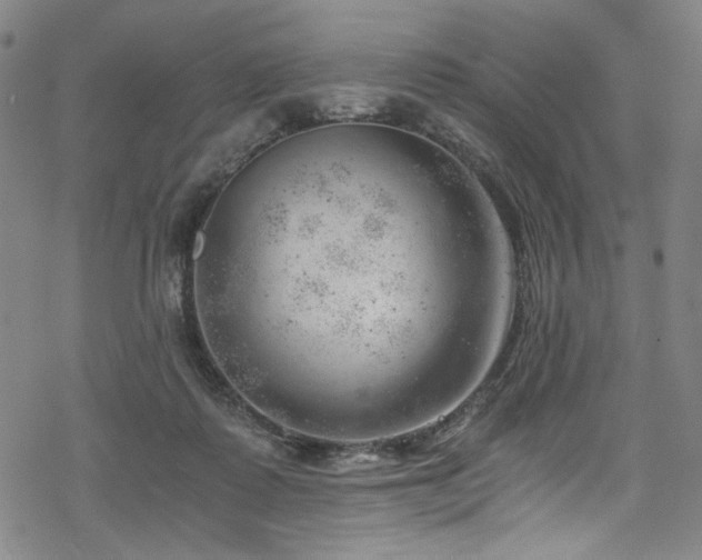 X0000068900315200605051429