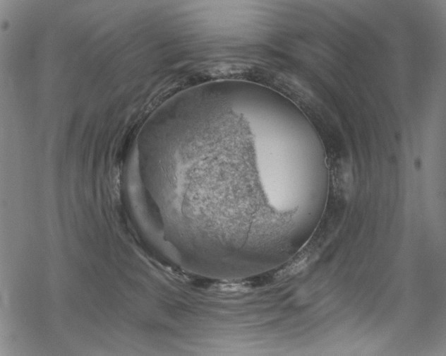 X0000068900327200605051429