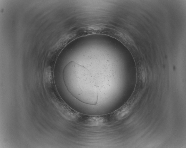 X0000068900328200605051429