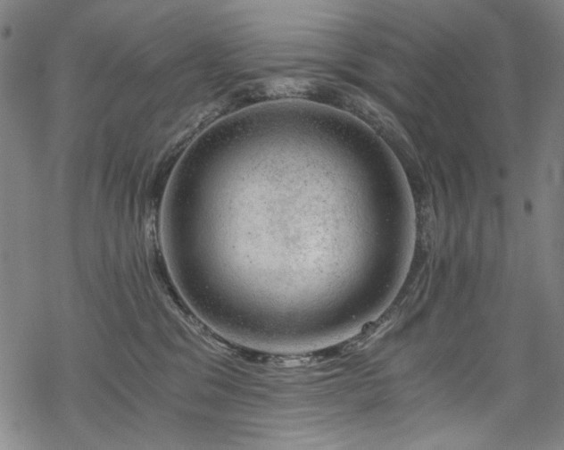 X0000068900329200605051429