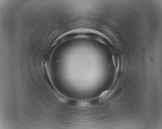 X0000068900333200605051429