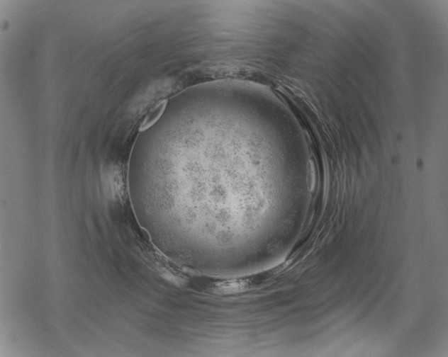 X0000068900335200605051429