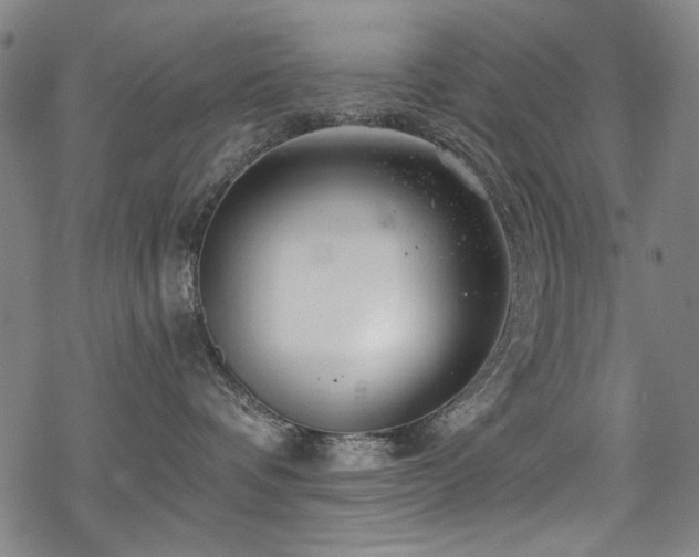 X0000068900336200605051429