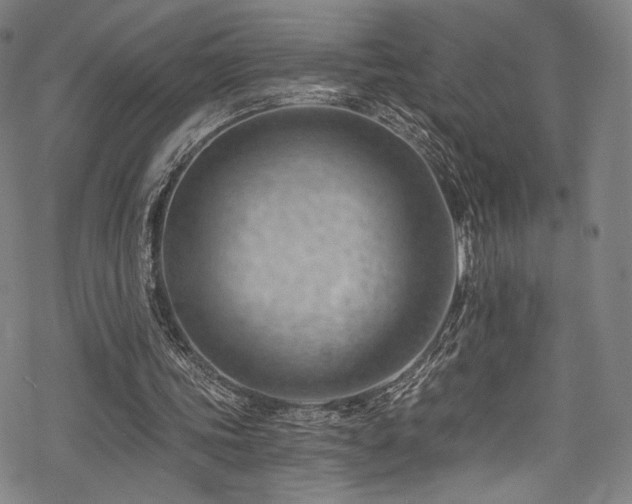 X0000068900339200605051428