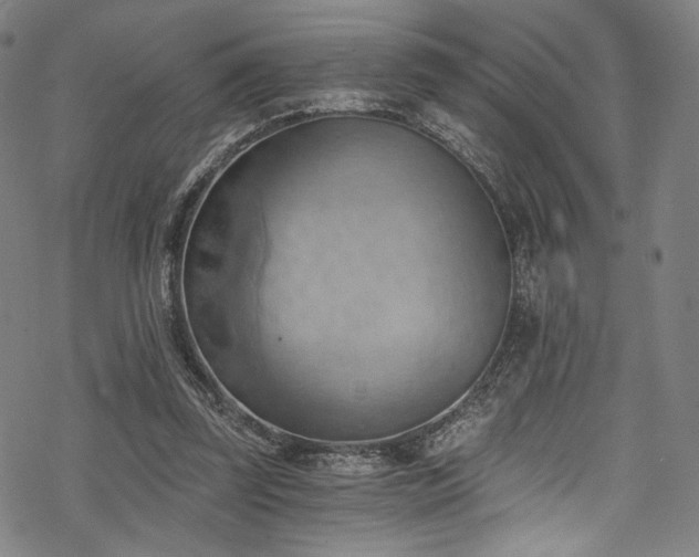 X0000068900347200605051428