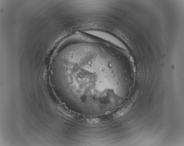 X0000068900355200605051429