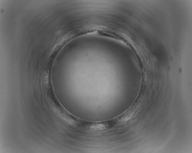 X0000068900357200605051429