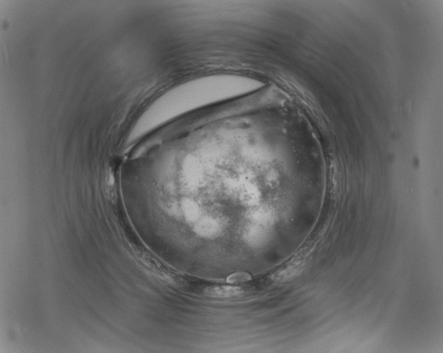 X0000068900361200605051429