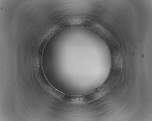 X0000068900362200605051429