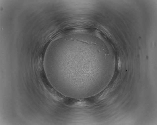 X0000068900364200605051429