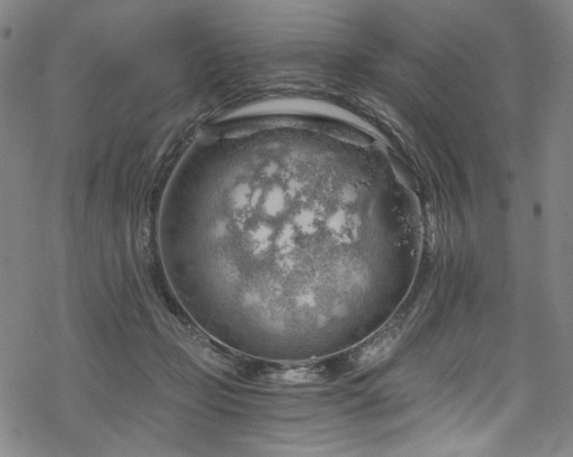 X0000068900365200605051429