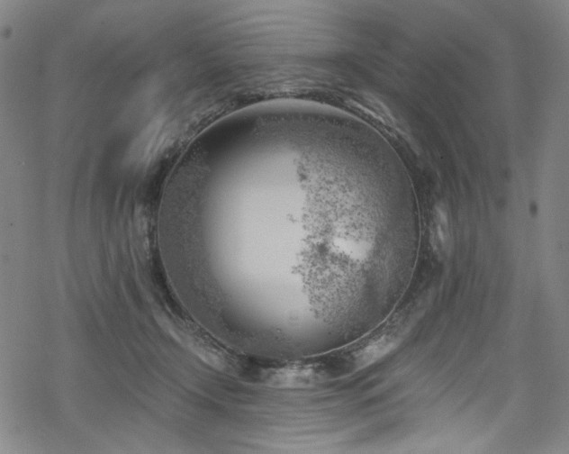 X0000068900366200605051429