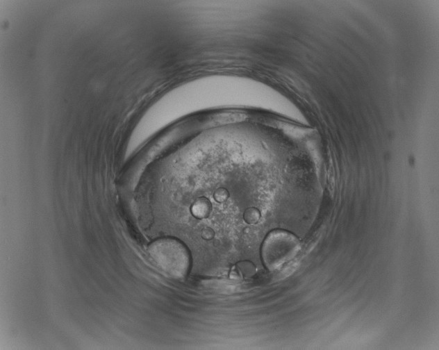 X0000068900367200605051429