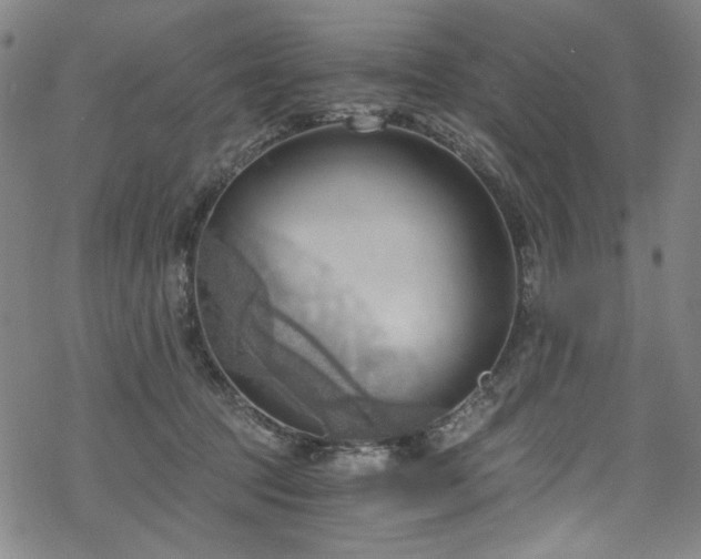 X0000068900369200605051429