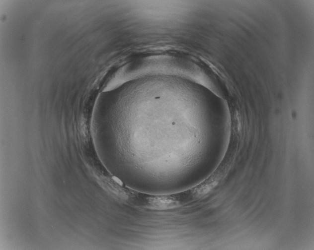 X0000068900380200605051429