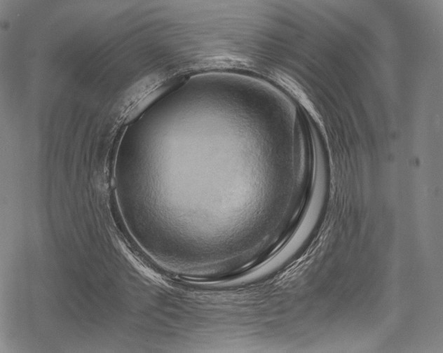 X0000068900389200605051428