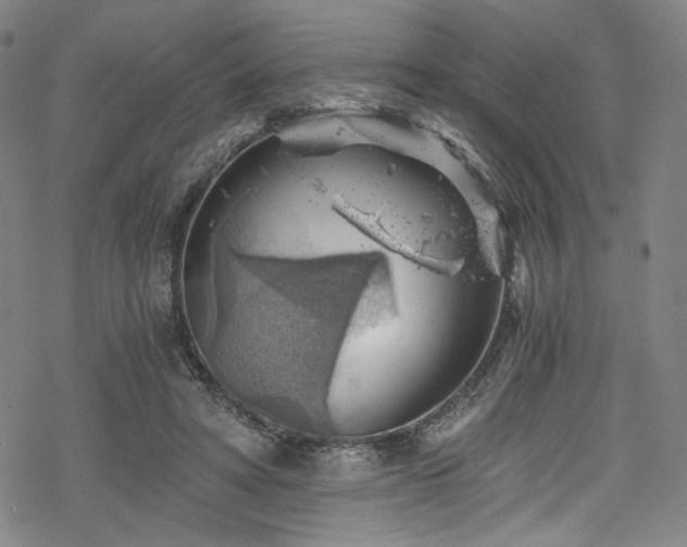 X0000068900402200605051428