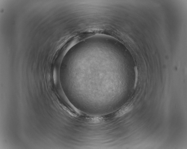 X0000068900432200605051427