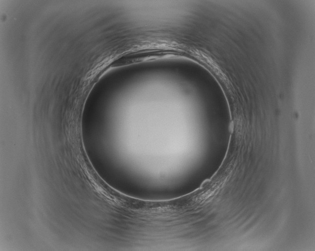 X0000068900433200605051427
