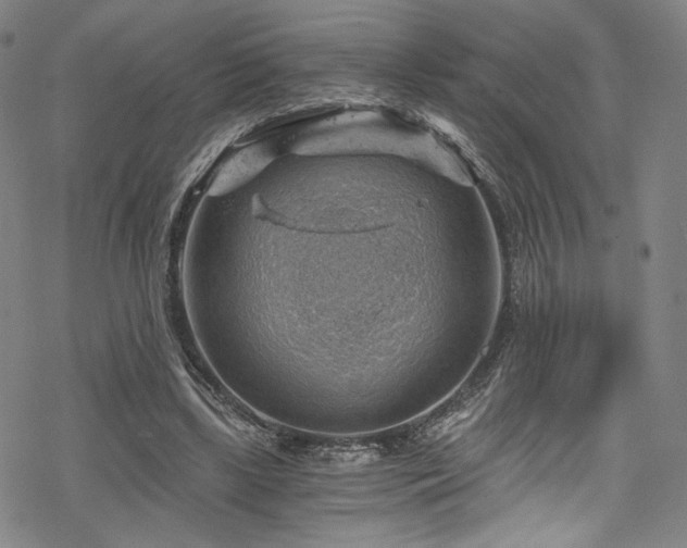 X0000068900443200605051427