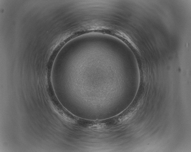 X0000068900447200605051427