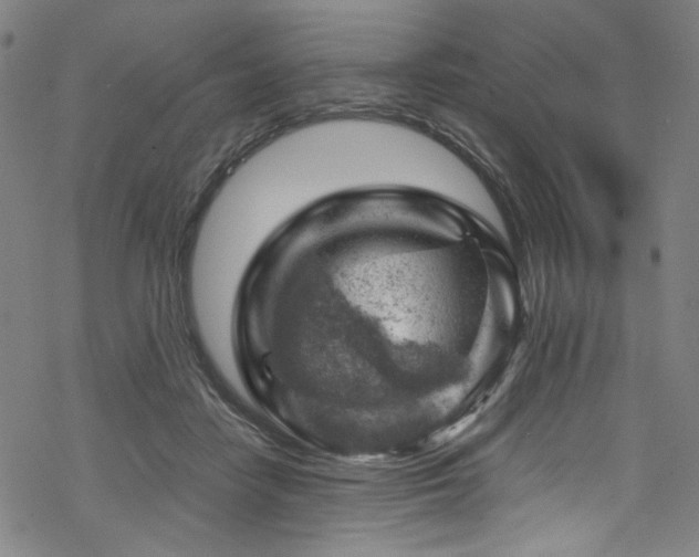 X0000068900458200605051427