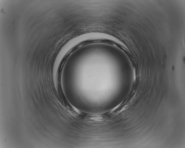 X0000068900478200605051427
