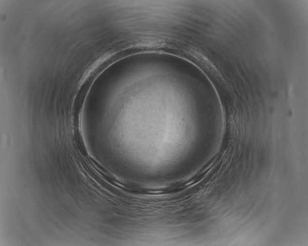 X0000068900484200605051427
