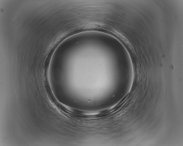X0000068900485200605051427