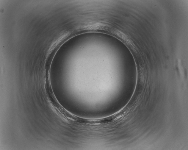 X0000068900486200605051427