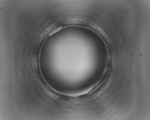 X0000068900489200605051427
