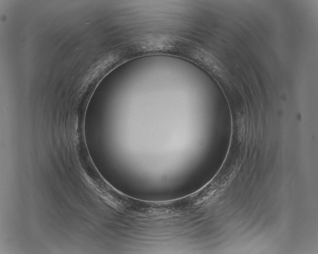 X0000068900490200605051426