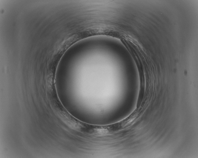 X0000068900509200605051426